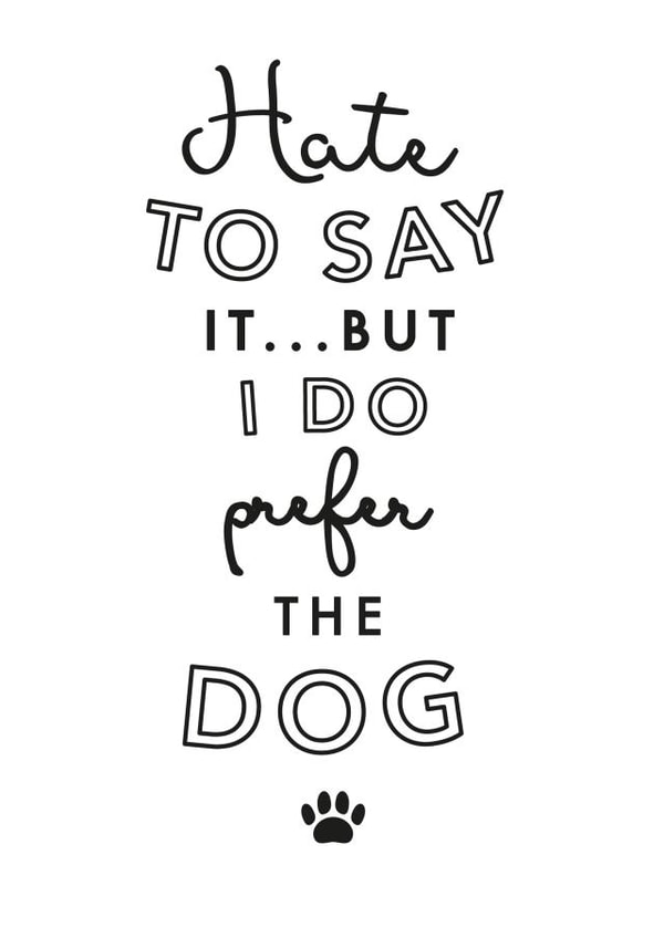 dog pet Anniversary Card 32099 created by Jodie Gaul & Co