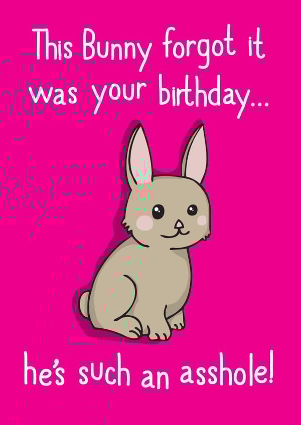 bunny rabbit Birthday Card 33684 created by Pukka Design