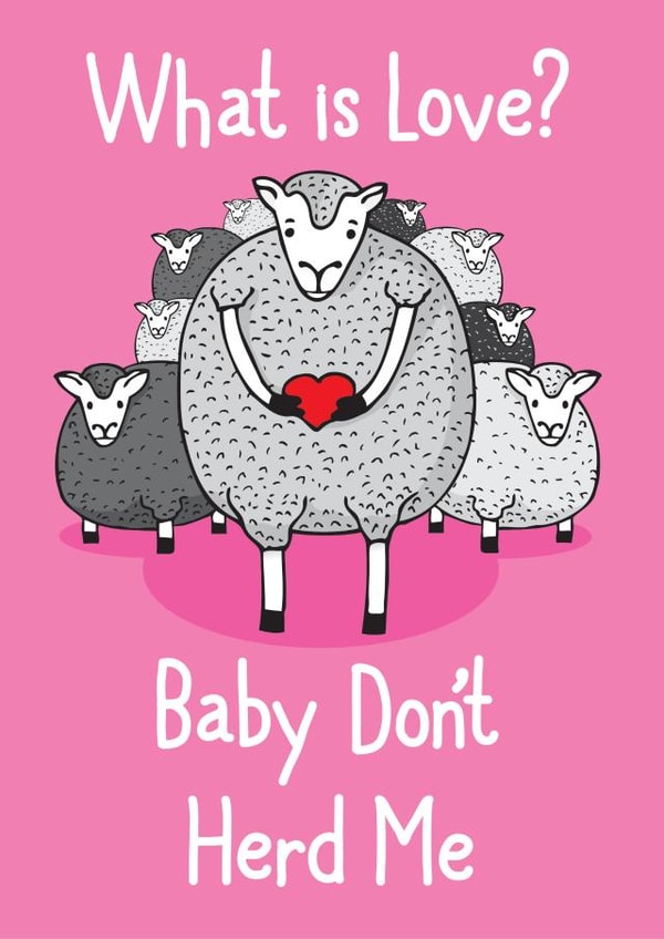 love sheep Love & Friendship Card 33685 created by Pukka Design