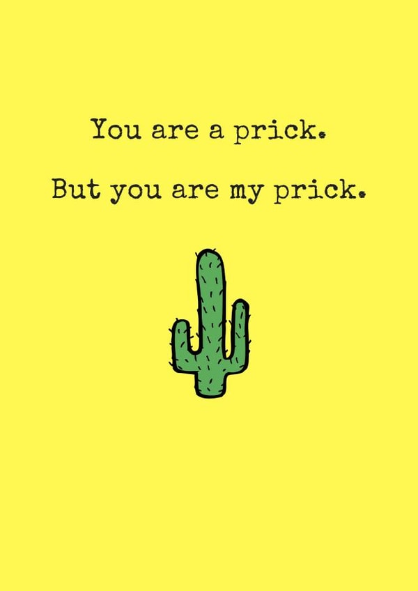 Rude Valentines Day Card - Cactus - You're A Prick But You Are My Prick created by Hedge & Hog Prints