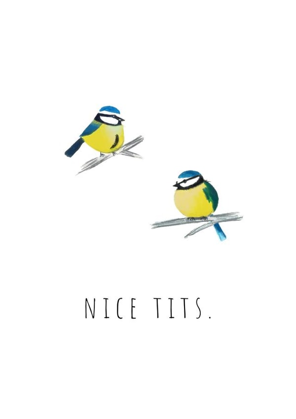 bluetit tits Valentines Day Card 7760 created by Lou La La