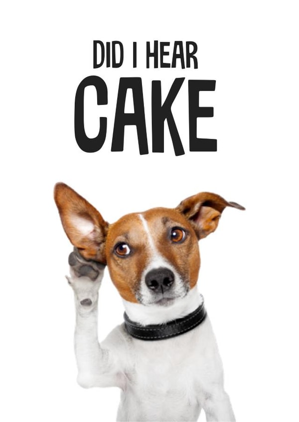 birthday dog Card 33086 created by Flamingo Lingo by Jenny