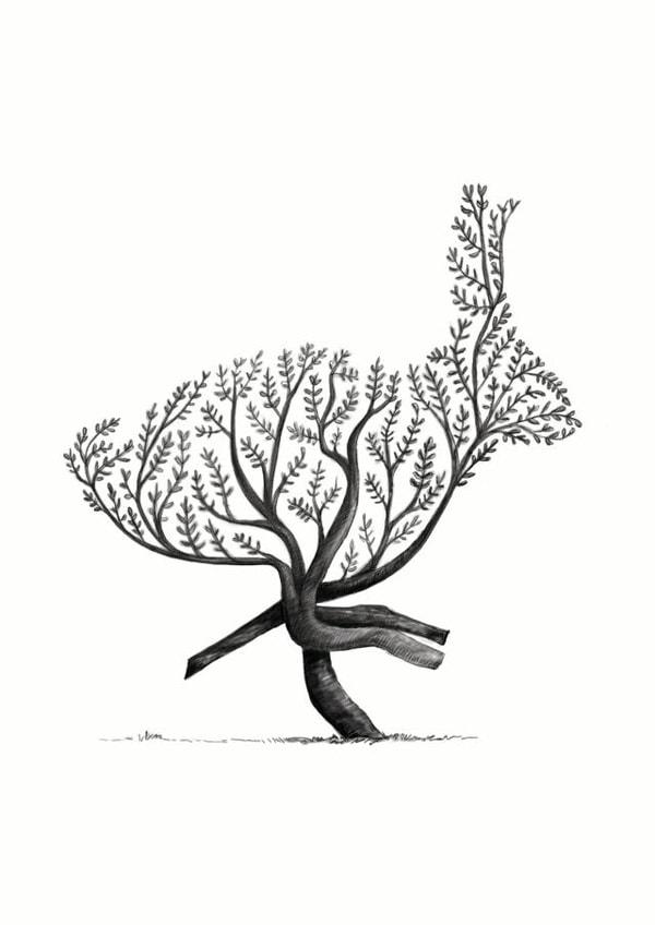 Rabbit Animal Card 34217 created by Mucky Duck Studio