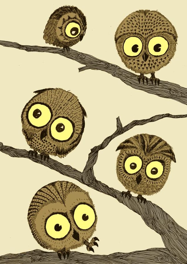 owl owls Card 26125 created by D J R Bennett