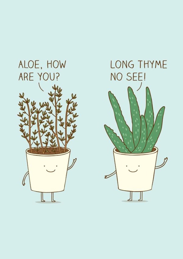 Hello! Plants greeting card  created by Milkyprint