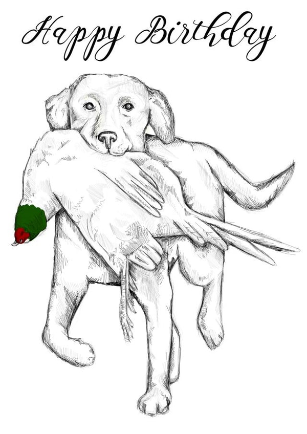 labrador illustration Birthday Card 9829 created by Amy Cockcroft