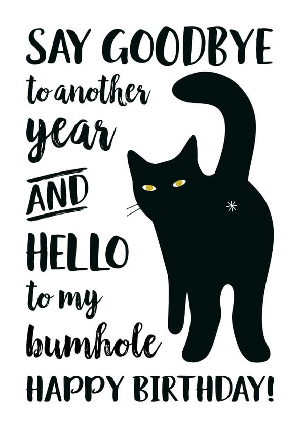 Hello Bumhole Birthday created by Chelsey Adams