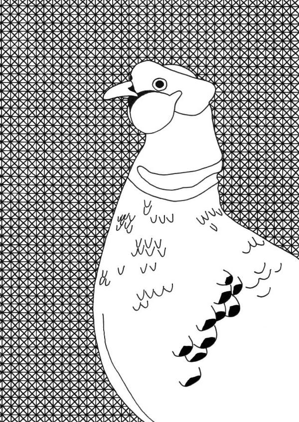 pheasant animal Card 35132 created by Kate Priestman Art