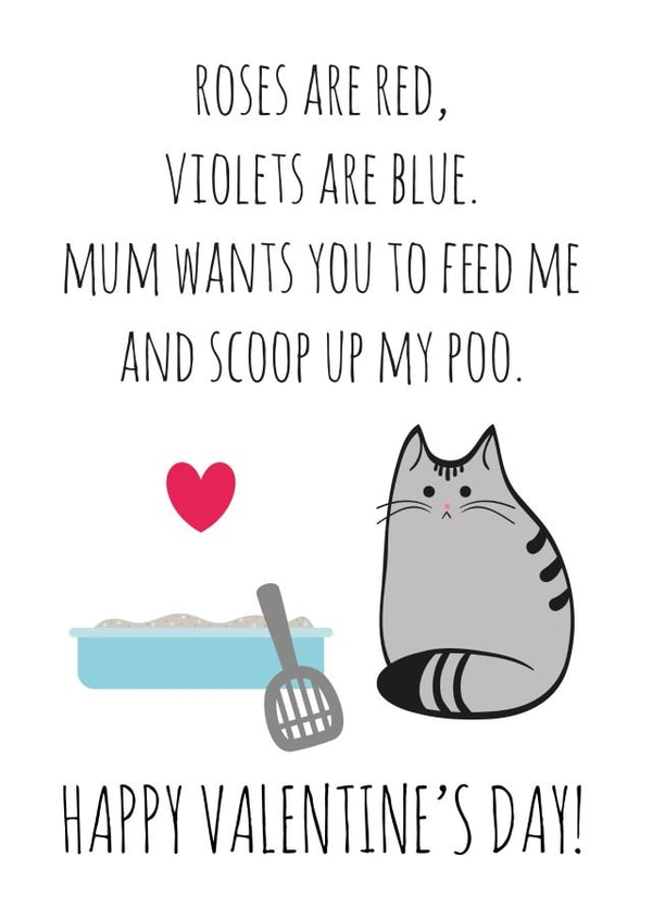 Cute Valentines Day Card - From The Cat - Roses Are Red Violets Are Blue Mum Wants You To Feed Me And Scoop Up My Poo created by Miümi Cat