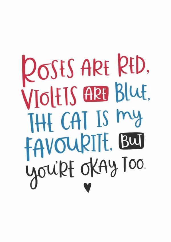 Cheeky Valentines Day Card - Roses Are Red - Poem - The Cat Is My Favourite But You're Okay Too created by Abbie Imagine