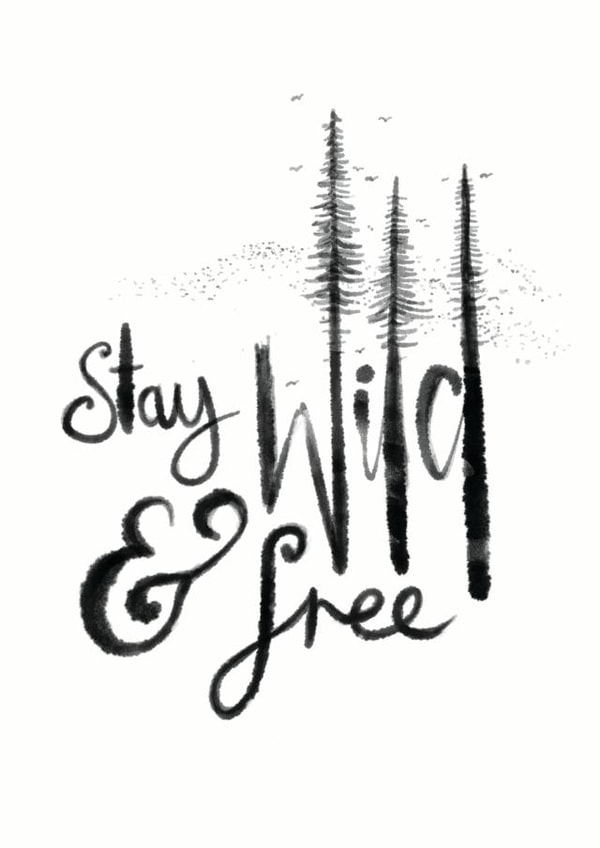 Wild Free Card 34221 created by Mucky Duck Studio