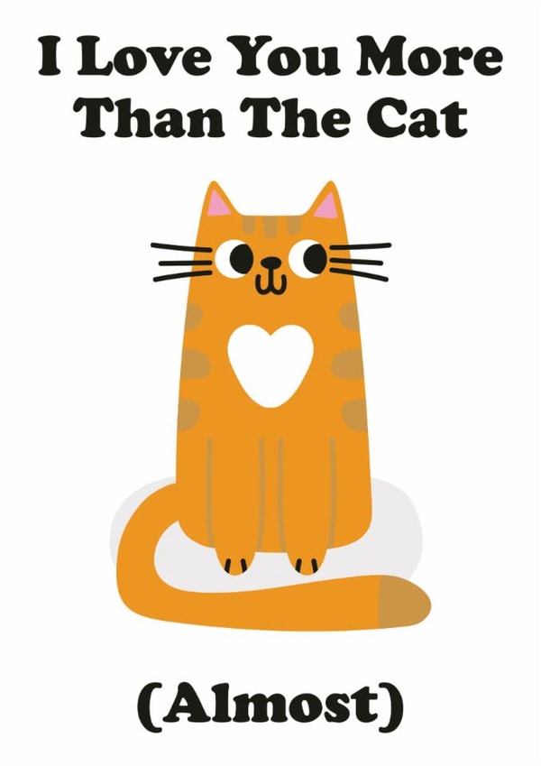 I Love You More Than The Cat (Almost) - valentines card created by Studio Boketto