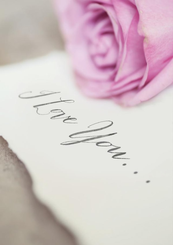 I love you... - Pink rose created by Love Lila Photography