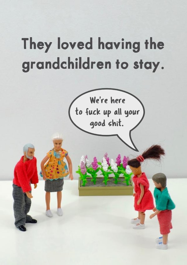 funny adult Birthday Card 11391 created by Bold & Bright Cards