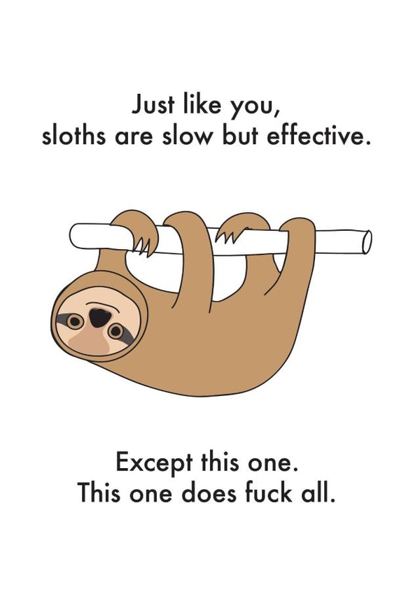 sloth funny Birthday Card 12799 created by OBJECTABLES