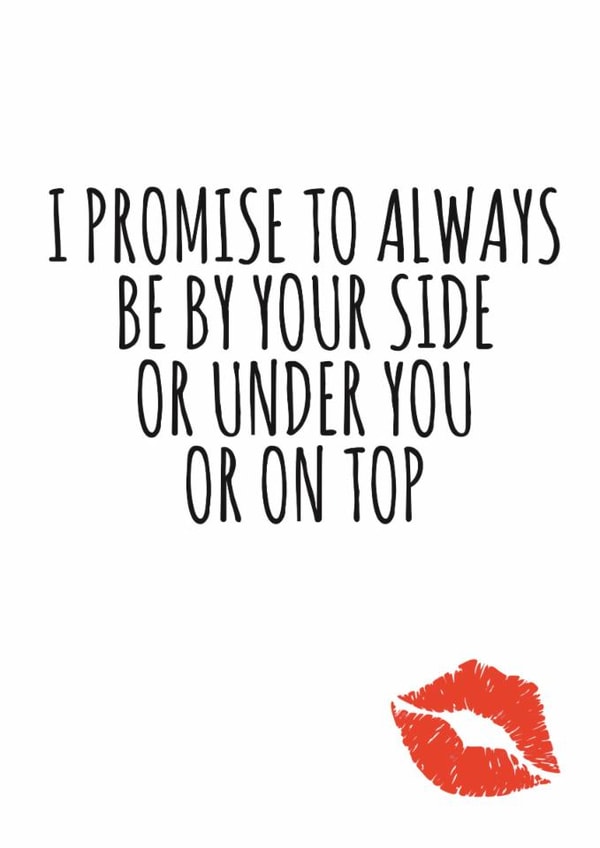 Cheeky Typography Anniversary Card / Valentines Day Card - I Promise To Always Be By Your Side Or Under You Or On Tp created by Banter King