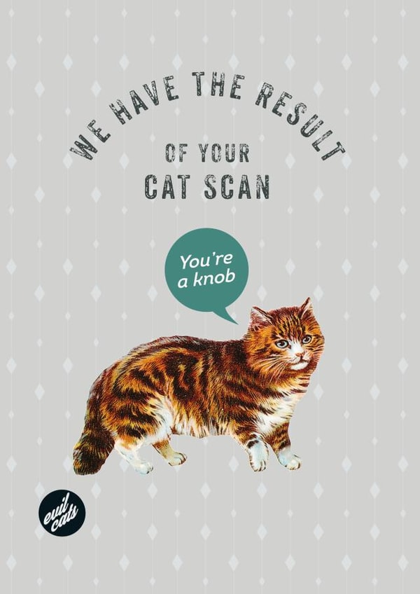 Rude cat birthday card created by Tess Cards
