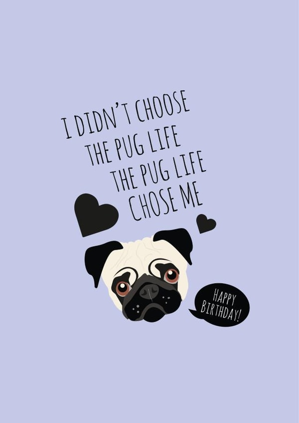 pug pugs Card 37661 created by Coco Loco Boutique