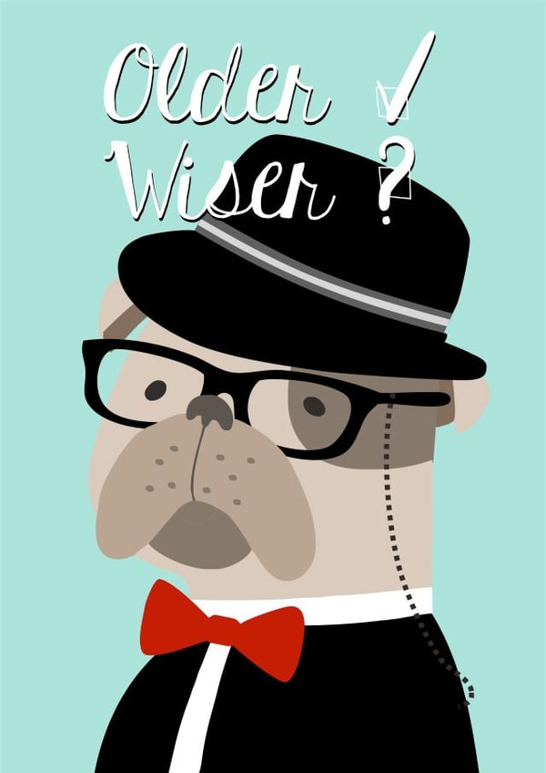 Older Wiser Birthday Card 31657 created by The Grumpy Pug