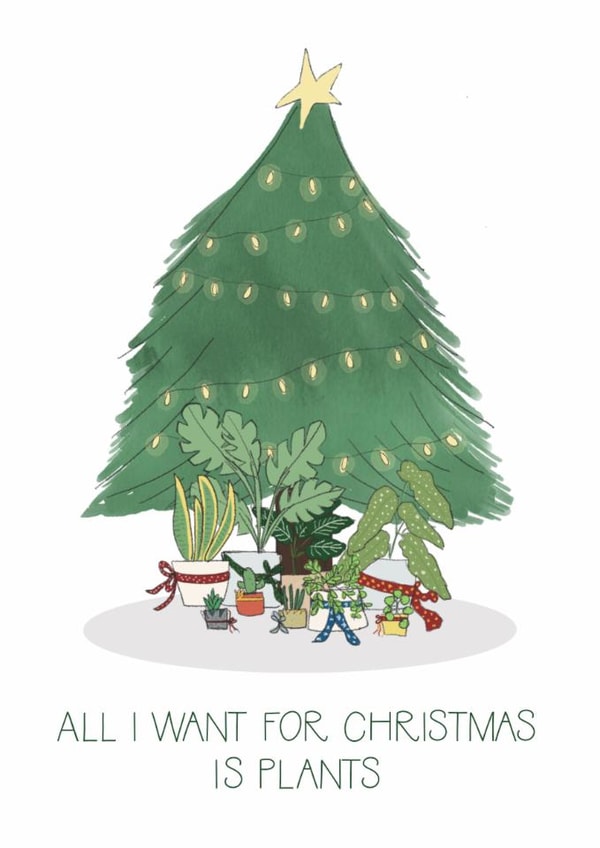 Plants under the Christmas tree created by Tiny Steps