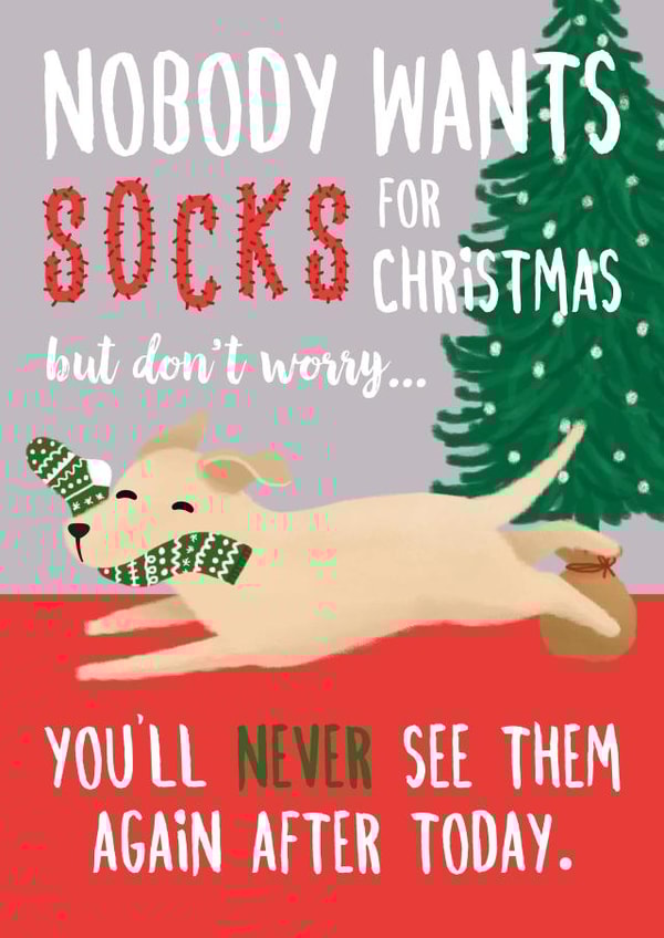 funny dog Christmas Card 7604 created by Chelsey Adams