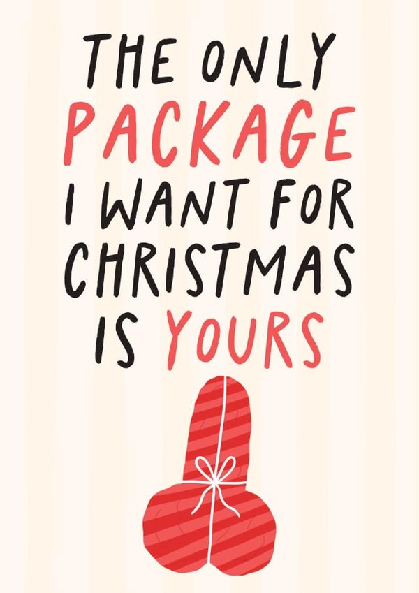 The Only Package I Want For Christmas Is Yours - Funny Christmas Card For Him created by Studio Doodles