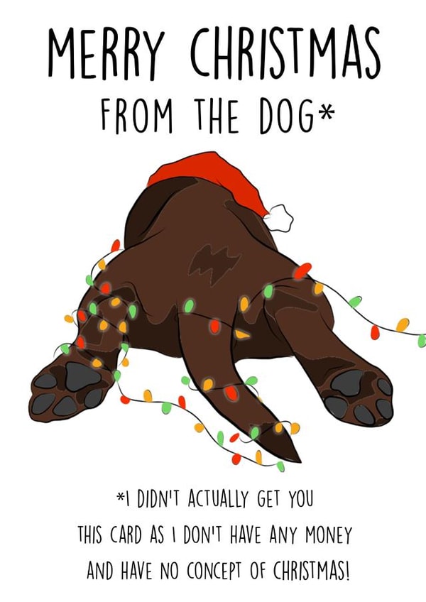 Merry Christmas From the Dog - From The Dog - Christmas Lights - Funny - Pets - Dog Parents - Attitude - Christmas Card created by Helen Giddings