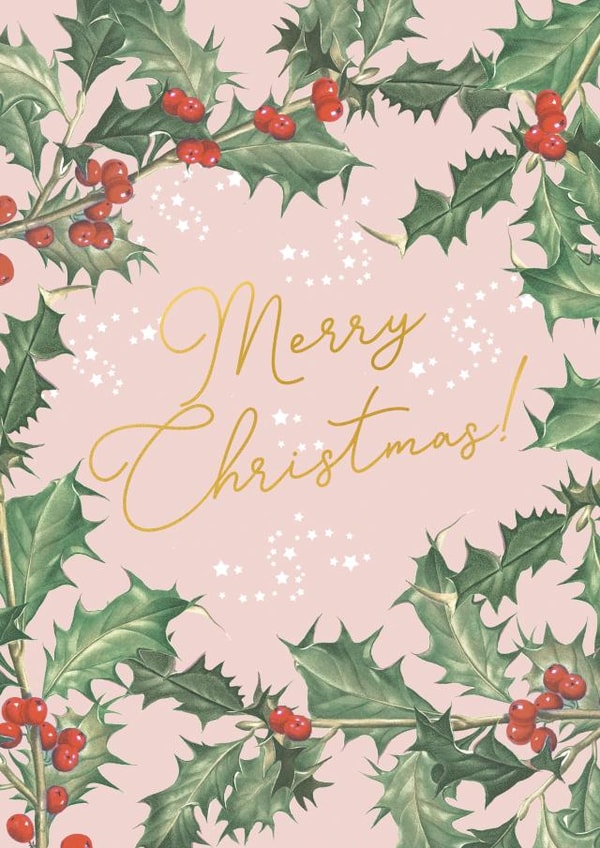 merry xmas Christmas Card 25245 created by Lucy Ledger