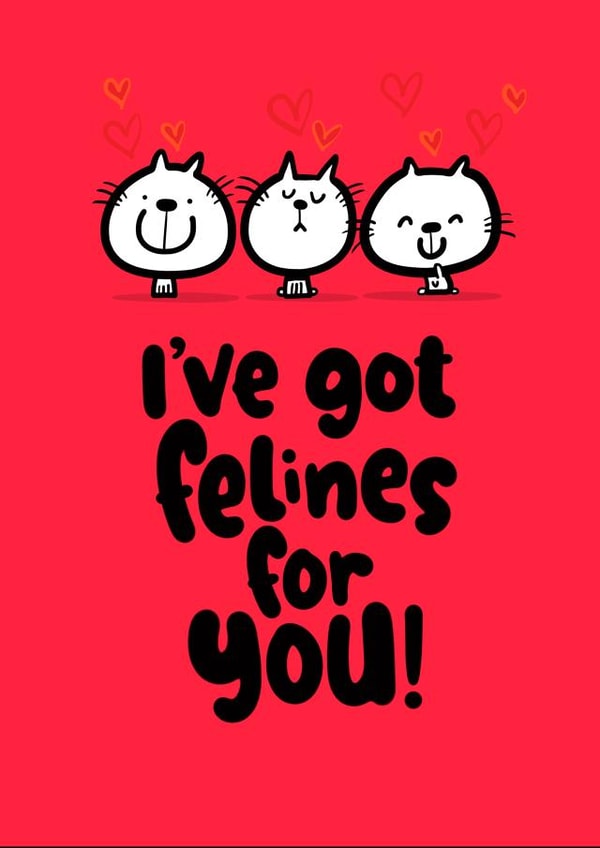felines for you created by Pink wink