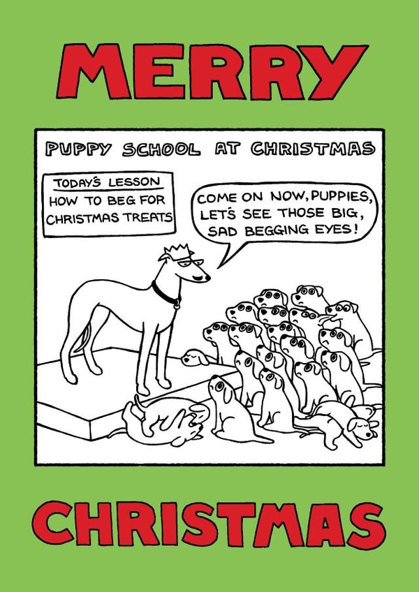'Puppy School at Christmas' card from Off The Leash created by Off The Leash Cartoons by Rupert Fawcett