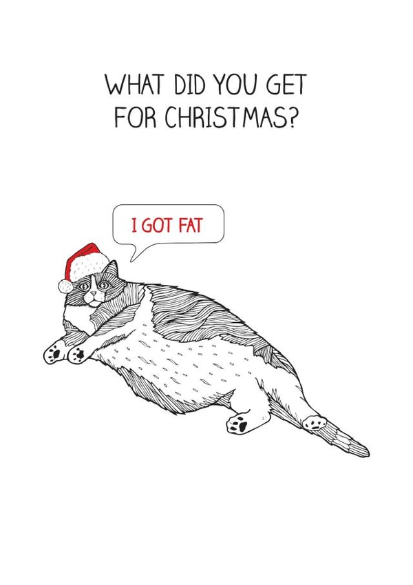 Funny Christmas Card - I Got Fat - Cat created by The Card Compony
