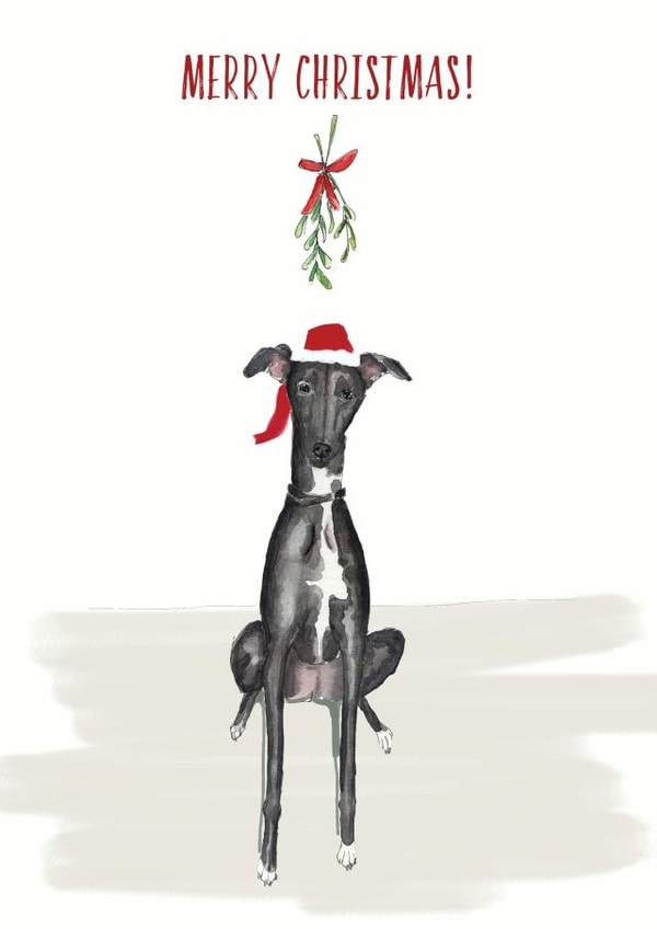 Cute Christmas Card - Greyhound - Mistletoe created by Harriet Lowther