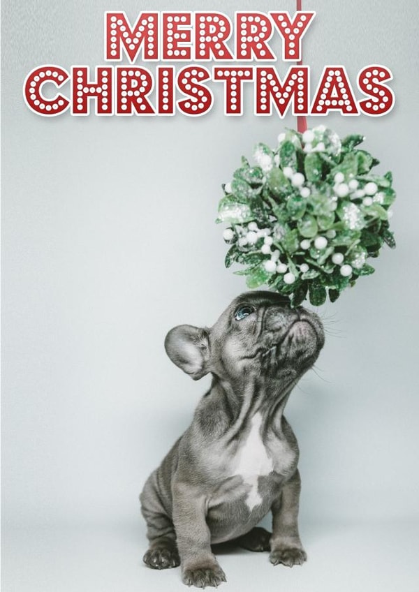 Merry Christmas - Cute Puppy & Mistletoe 1000 created by Sqwibble Cards