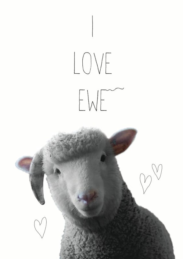 Cute Ewe Pun Anniversary Card / Valentines Day Card - I Love Ewe created by Chocolate Frog