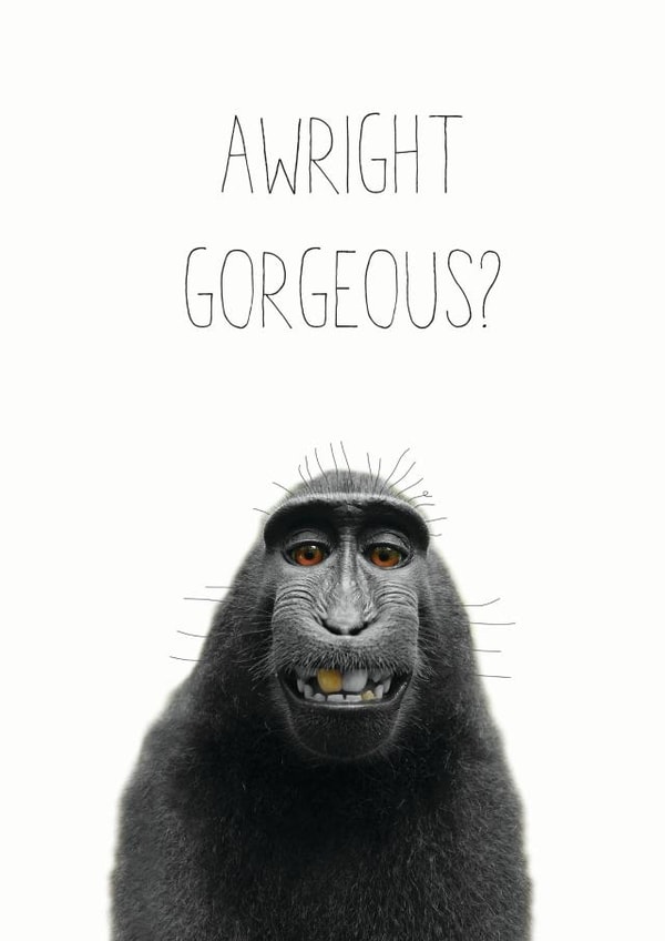 awright gorgeous Love & Friendship Card 14510 created by Chocolate Frog