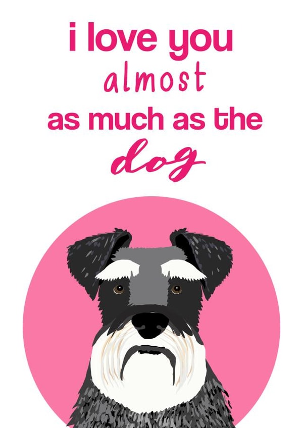 schnauzer dog Valentines Day Card 25142 created by Pet Friendly