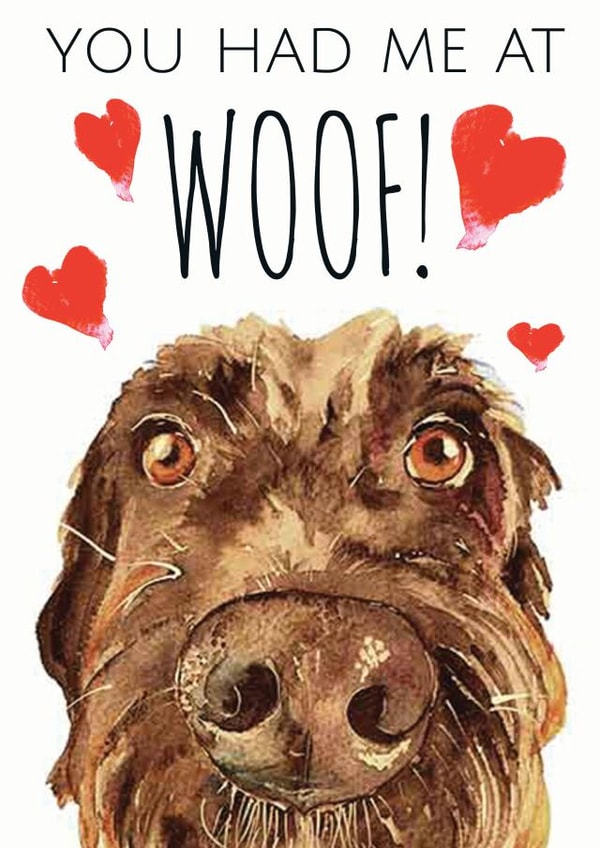 dog scruffy Anniversary Card 1586 created by Jo Scott Art