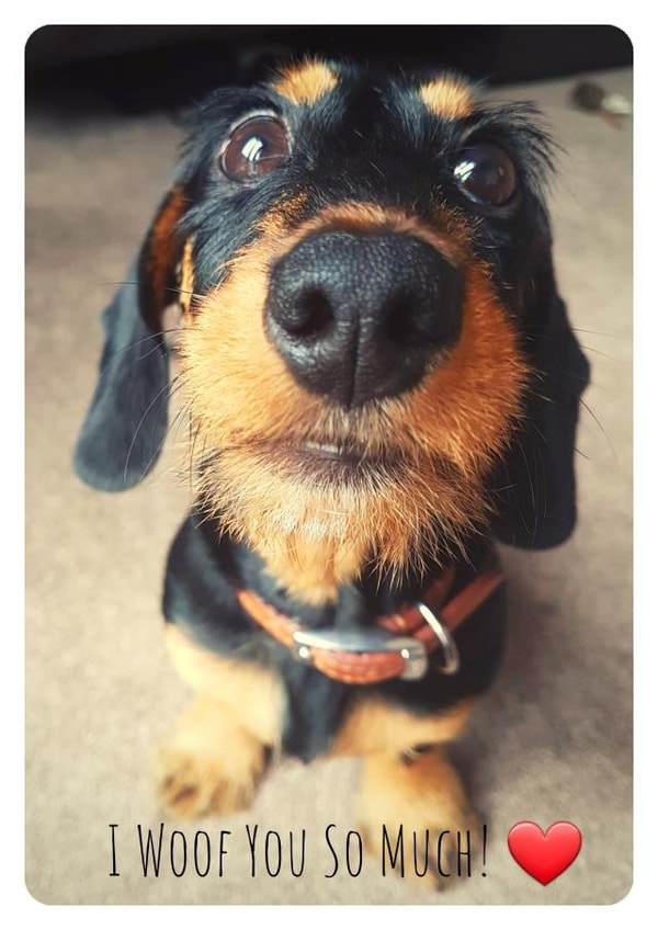 Card 37798 created by Emma Riches - Emma Riches Art 