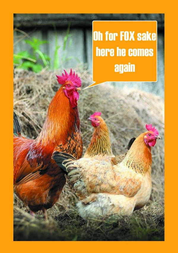 chicken fox Card 35047 created by Oh So Cheeky