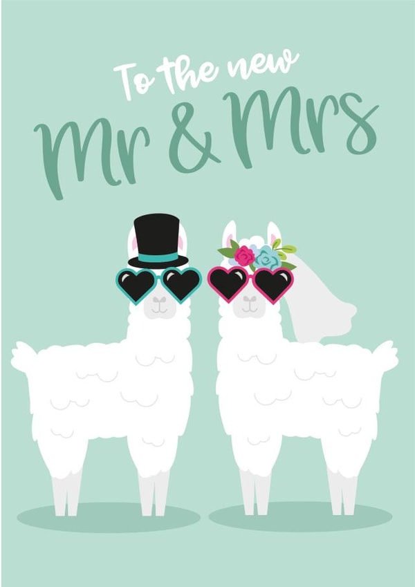 Lama green wedding card created by Tiger Feet Creations
