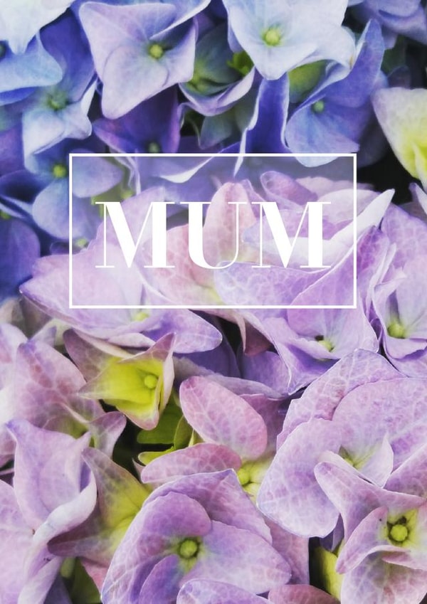 mum mothersday Card 26551 created by Judy Bainbridge