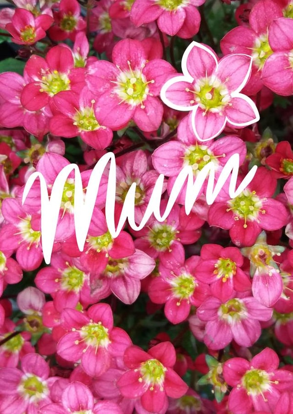 mum mother Card 26552 created by Judy Bainbridge