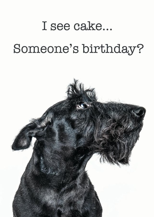 Cute Birthday Card - I See Cake... - Dog created by GRUFFPAWTRAITS