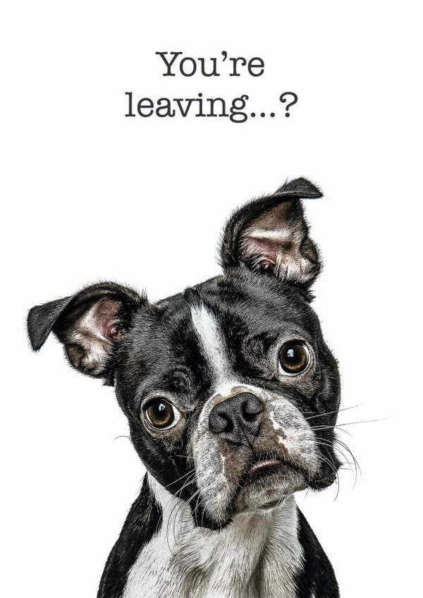 youre leaving Leaving Card 14730 created by GRUFFPAWTRAITS