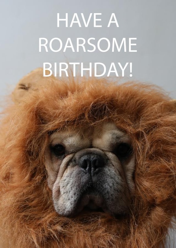 frenchie bulldog Birthday Card 14095 created by Sofia Wåhlin