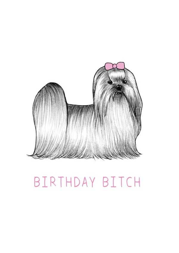 bitch bichon Birthday Card 13381 created by Beth Goodwin