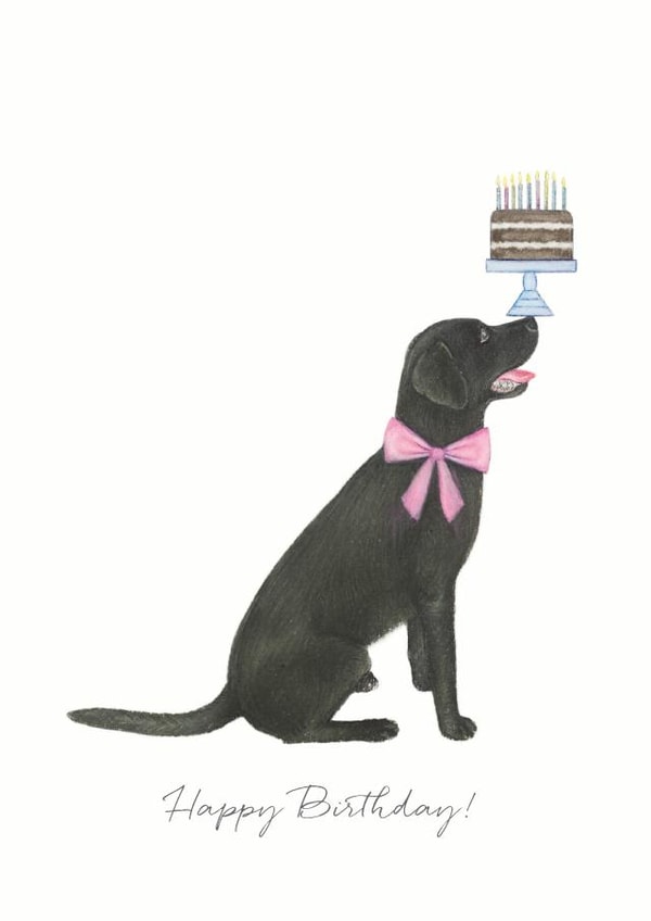 Labrador Cake Birthday Card 15310 created by Lottie Murphy