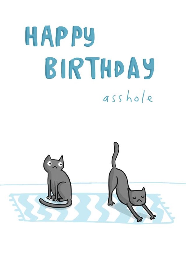 asshole funny Birthday Card 25732 created by Sarah Ray