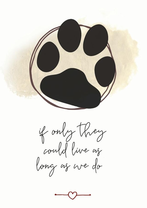 pet loss Sympathy Card 5763 created by Open Space Collective