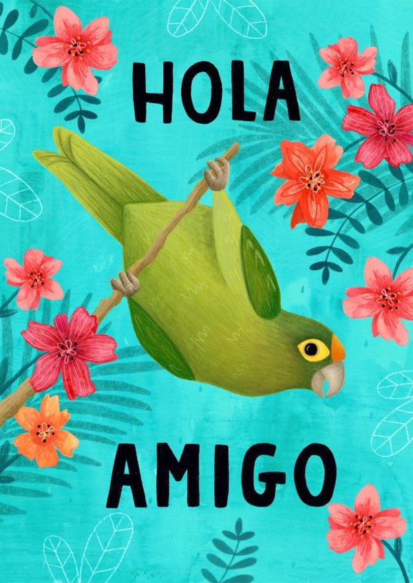 hola friendship Card 10758 created by Nic Allan
